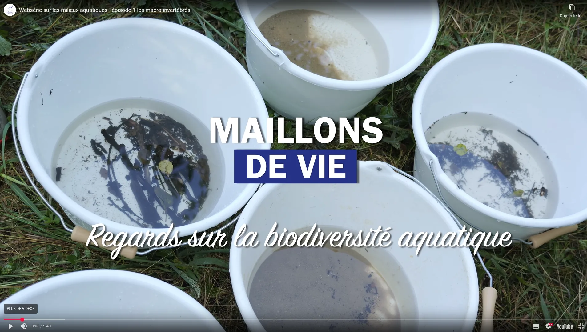 actualités websérie ufbag