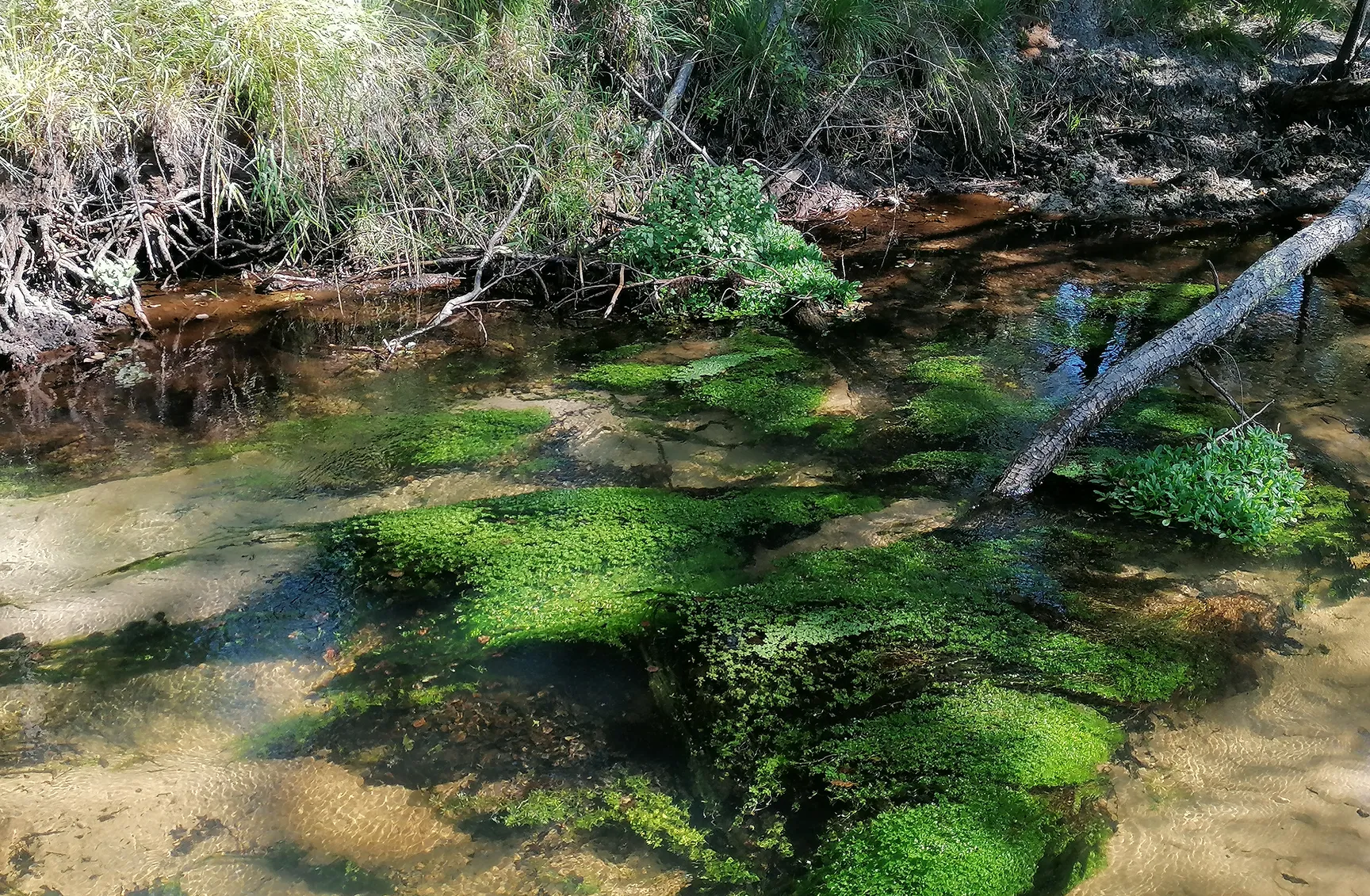 connaitre comprendre proteger