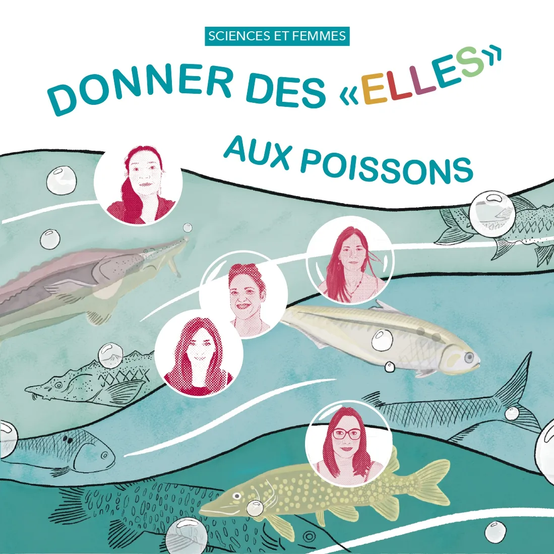 Donner des elles aux poissons