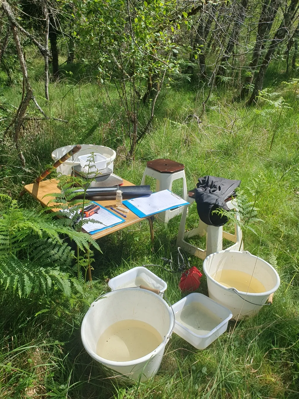 encart expertise reconnue