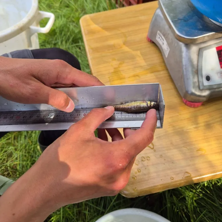 especes emblematiques