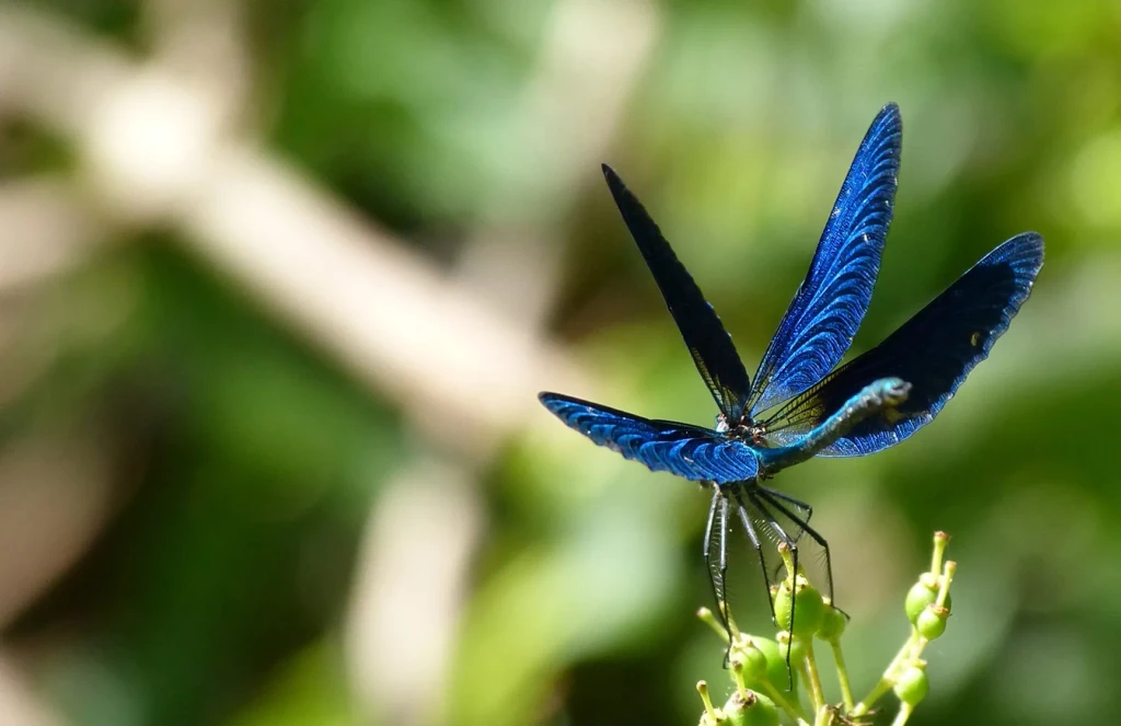 federation peche 47 en bref