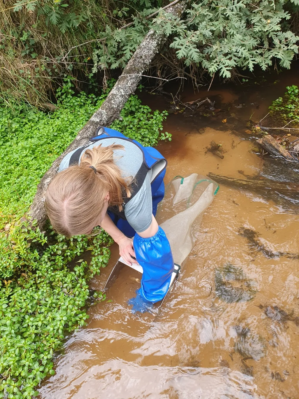 inventaire macro invertébrés