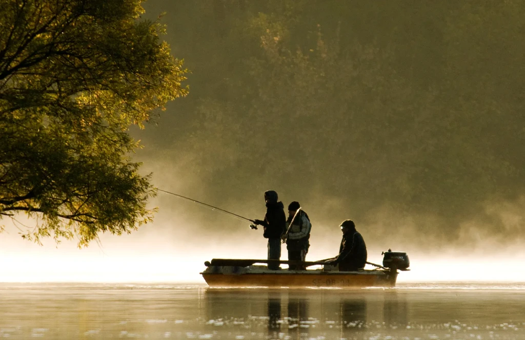 la médiathèque pêche