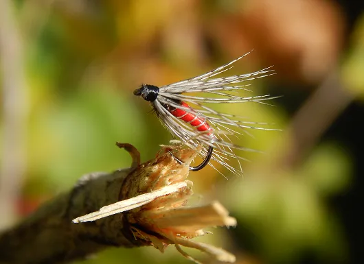 pêche à la mouche
