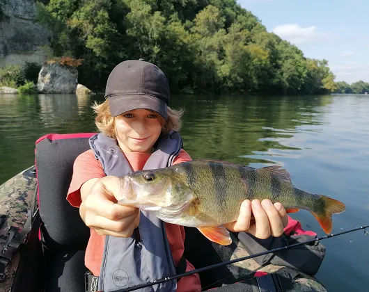 peche des carnassiers